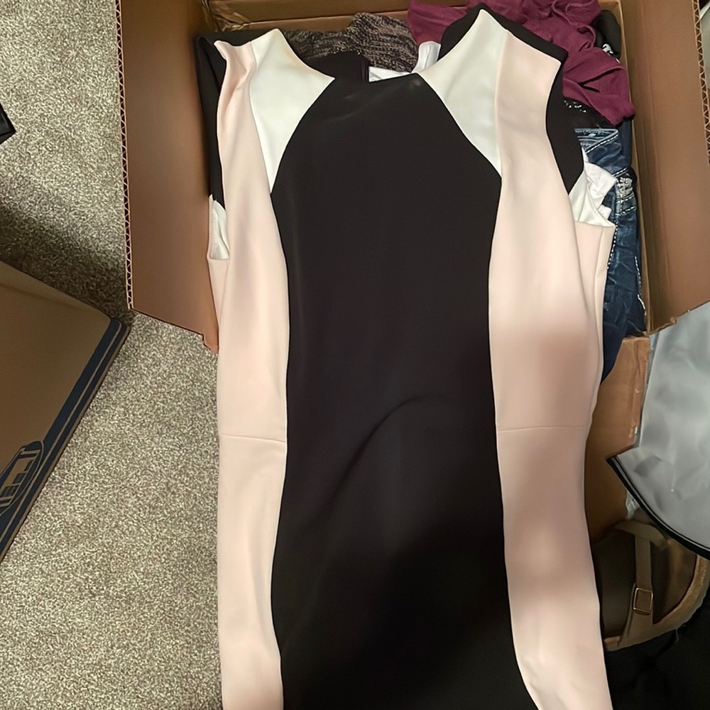 Professional dress